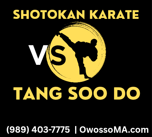 Shotokan Karate vs Tang Soo Do – Which One Is Better?