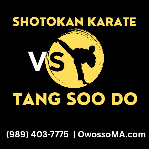 Shotokan Karate vs Tang Soo Do – Which One Is Better?