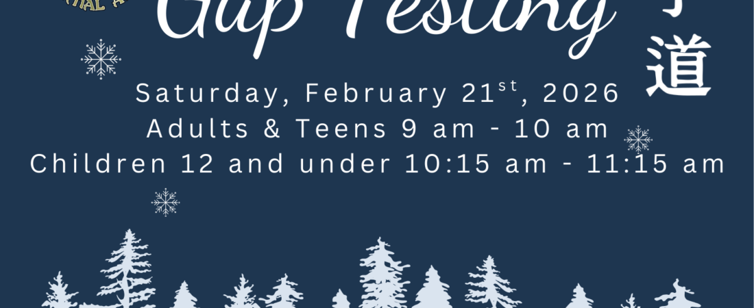 Why We Write a Weekly Blog at Owosso Martial Arts