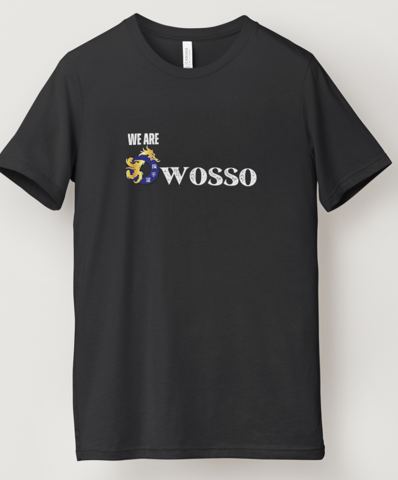 We are Collection T-Shirts